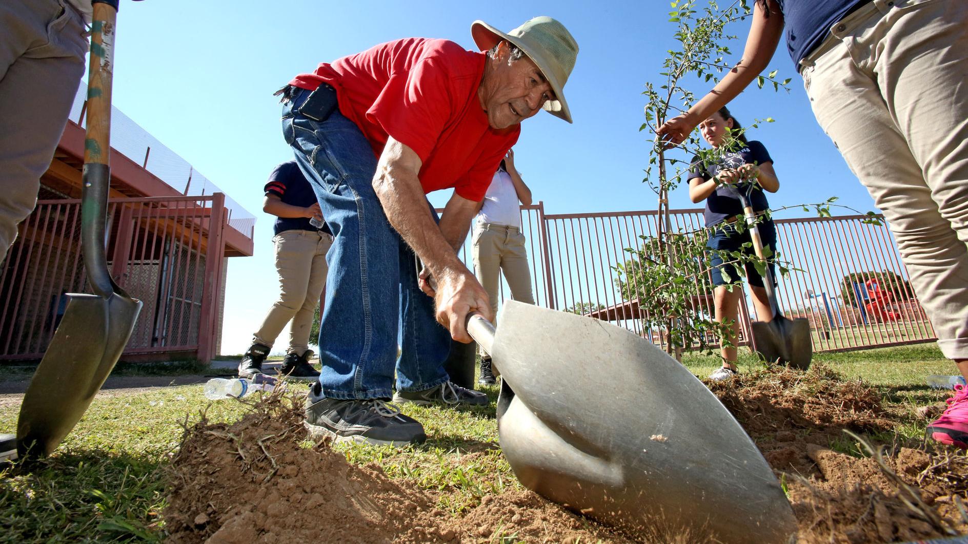5 Tucson ways to celebrate Earth Day (and make our city a better place)